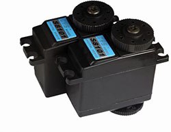 Servo image
